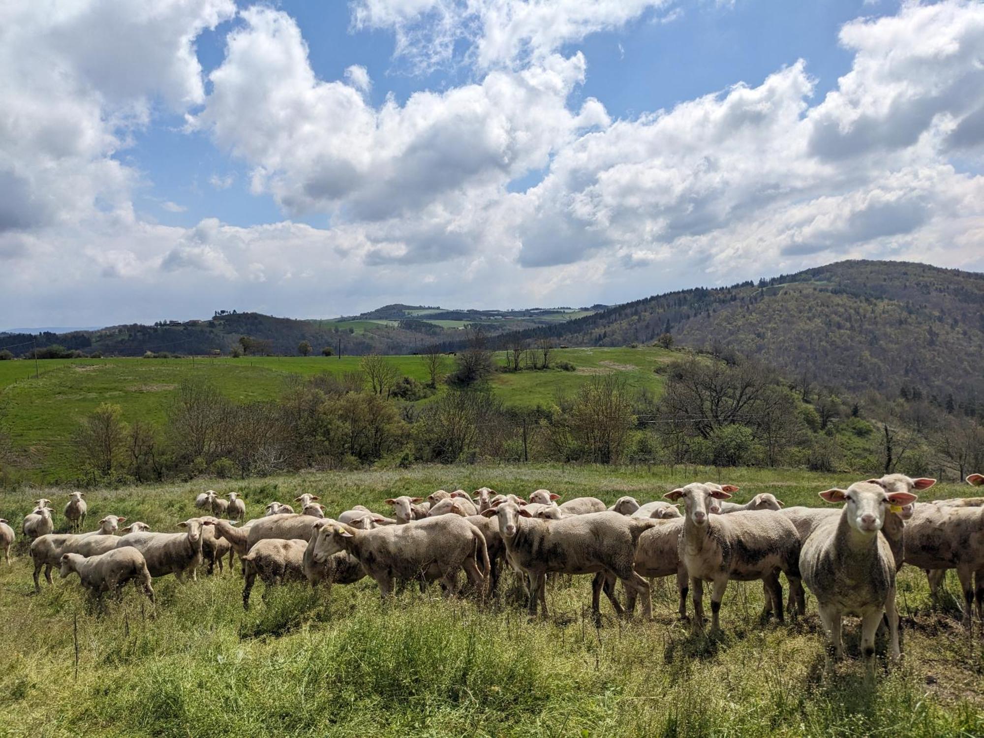 La Grange, Le Hameau Des Volcans - Deconnexion Face A La Vue Saint-Just-pres-Brioude المظهر الخارجي الصورة